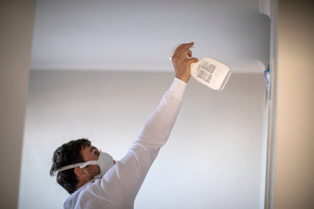 Mold Removal Process in Edgeworth, PA