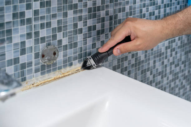 Best Mold Removal Near Me  in Edgeworth, PA